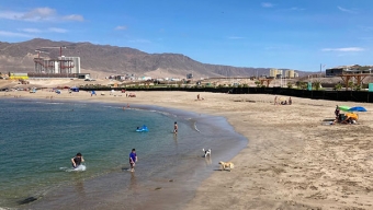 Alcalde de Antofagasta Afirmó a Actores Sociales y Autoridades Que No Recepcionará la Primera Etapa de Playa La Chimba