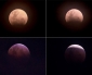 Eclipse Lunar y Luna de Sangre: Cómo Disfrutar Este Espectáculo Astronómico