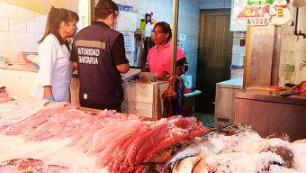 Sorpresiva Fiscalización al Terminal Pesquero de Antofagasta Concluyó Con 13 Sumarios Sanitarios