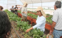 Agricultores de Calama y Compañía Minera Lomas Bayas, Trabajando Por la Sustentabilidad Del Oasis