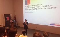 Plenario Detalló Avances en Materia de Seguridad Pública y Protección Social en Antofagasta