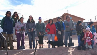 Nueva Población Lickan Antai de San Pedro de Atacama Recibieron Árboles para Mejorar Entorno