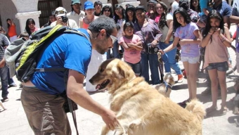 Positiva Resultó la Primera Expo Canina en San Pedro de Atacama