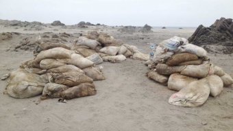 Descubren Extracción Ilegal de Guano Blanco en Punta Itata