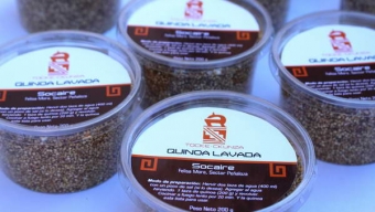 FIA Presenta Junto a Consejo de Pueblos Atacameños Innovador Producto en Base a Quinoa