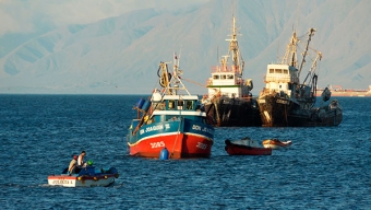 Analizan Las Consecuencias Del Niño en Las Pesquerías de la Macrozona Norte