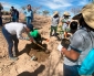 Vecinos de Sierra Gorda Cerraron Programa Comunitario Con Reforestación de ‘Pulmón Verde’