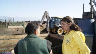 Seremi de Salud Retira 240 Toneladas de Barro y Fecas de Criadero Ilegal de Cerdos