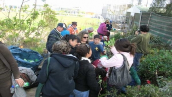 Vecinas Aprenden sobre Jardinería en Talleres Gratuitos Impartidos por el Municipio