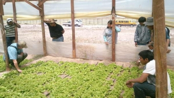 Agricultores de Calama Llevan Hasta 40 años Esperando por Títulos de Dominio