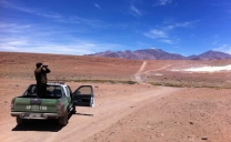Casi Llegando a la Frontera Carabineros Recupera Camioneta Robada en Antofagasta