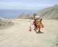 Continúan  Avances en Obras del Camino a Punta Rieles en Mejillones
