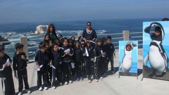 Museo Mirador de la Biodiversidad Comenzó Nueva Temporada de Educación Ambiental