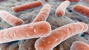 Seremi de Salud Descarta Aumento de Tuberculosis en la Región
