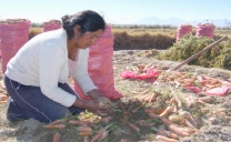 Pequeños Agricultores de la Región Pueden Acceder a Herramientas de Financiamiento A Través de Innovador Portal AgroAtiende