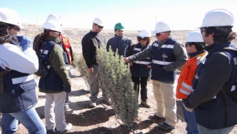 Agricultores Antofagastinos Recibieron Capacitación Sobre Energía y Biomasa