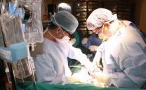 Cardiólogos a Nivel Internacional se Reunirán en Antofagasta