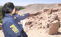 Encuentran Restos Humanos Esparcidos Sobre Basura en Antofagasta