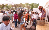 Agricultores del Vino Ayllu Celebraron su Vendimia en Toconao