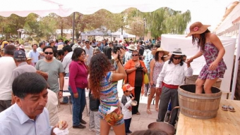 Agricultores del Vino Ayllu Celebraron su Vendimia en Toconao