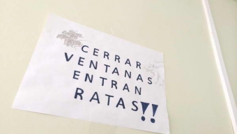 Diputada Hernando Realizó Inspección Sorpresa en Hospital Regional de Antofagasta