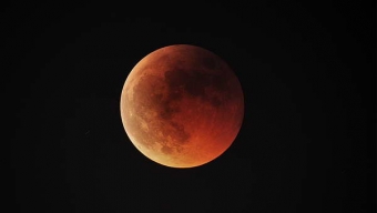 Astrónomo Aconseja Cómo Observar Próximo Eclipse Lunar