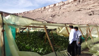 Seremía de Agricultura Momentáneamente Descarta Emergencia Agrícola Tras Frente Climático