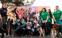 Ministro del Interior Lanzó en Antofagasta el Programa de Tenencia Responsable de Mascotas