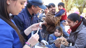 En Calama Lanzaron el Plan Nacional de Tenencia Responsable de Mascotas