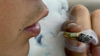 Entre 2011 y 2013 Aumento el Consumo de Marihuana en Estudiantes
