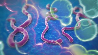 Conforman Comité de Enfrentamiento y Respuesta Ante Virus Ébola en la Región
