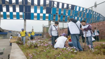 Cerca de 200 Manos Mormonas Embellecieron el Estadio Regional