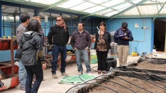 Escuela de Ollagüe Implementa Dos Invernaderos Para Alimentar a Sus Alumnos‏