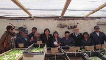 Inauguran 1º Huerto Hidropónico en San Pedro de Atacama
