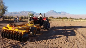 Millonaria Inyección de Recursos Para Mantener Viva la Agricultura de San Pedro de Atacama