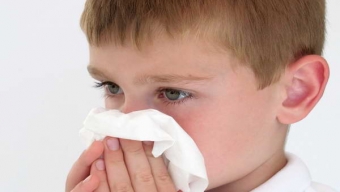 Inmunólogo Recomienda Estar Atentos a Rinitis Alérgicas en Niños