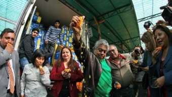 Naranjas de Jujuy Ingresan al Mercado de la Región