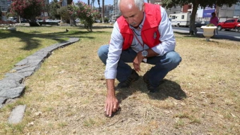 Municipio: Áreas Verdes Serán Recuperadas en un Plazo de Dos Meses