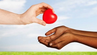 Cómo Saber si Uno es no Donante de Órganos