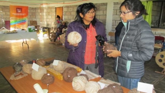 Comunidad de Talabre Culminó Proyecto Para el Rescate de su Cultura Textil