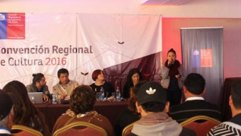 Con Alta y Diversa Participación Regional se Realizó Convención de Cultura en Antofagasta