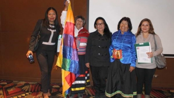 Celebración de Los Pueblos Originarios, Culminó Con Certificación de Beneficiarios Fondos CONADI 2016