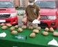 Desbaratan Organización Dedicada al Tráfico de Drogas