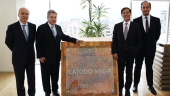Se Acuerda Traspaso de Minera Michilla a Haldeman Mining Company S.A.