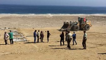 Gobernación de Antofagasta Ejecutó Desalojo de Terrenos en Punta Itata y Playa Chacaya