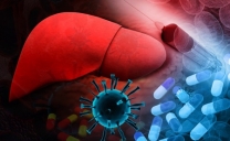 CMDS Llama a Extremar Medidas de Prevención Frente a Aumento de Casos de Hepatitis A