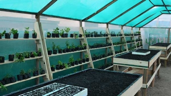 Centro Recreacional Del Adulto Mayor de Mejillones Mejora Instalaciones de Vivero