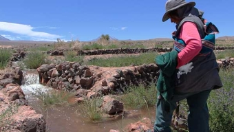 Pueblos Indígenas de la Macro Zona Norte se Reunirán Entorno a los Derechos de Agua