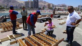 Alcaldesa Visitó los Puntos de Lanzamiento de los Fuegos Artificiales