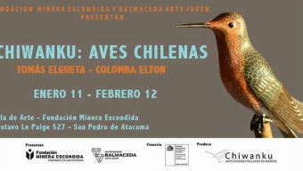En San Pedro de Atacama Exponen Sobre Aves Chilenas